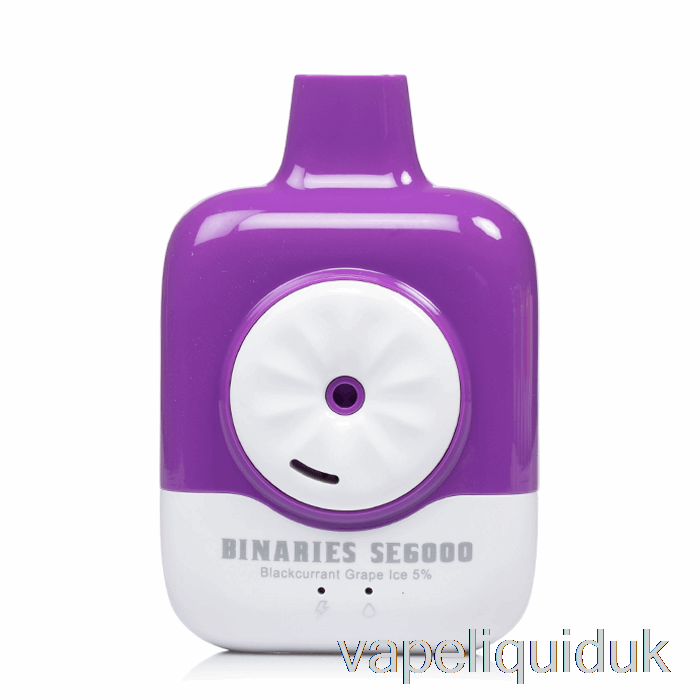 Horizon Binaries SE6000 Disposable Blackcurrant Grape Ice Vape Juice